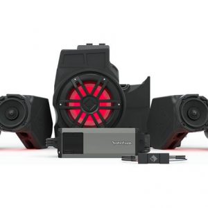 Rockford Fosgate RZR19RCPXP-STG4