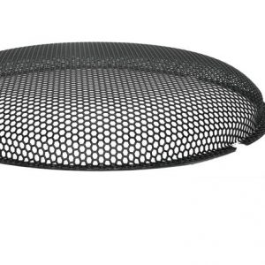 Rockford Fosgate T1SG-12